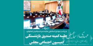 جلسه کمیته صندوق بازنشستگی  کمیسیون اجتماعی مجلس
